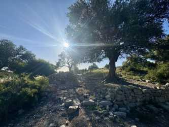 Wycieczka fakultatywna, Pafos by night