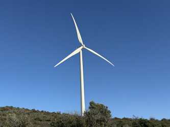 Wycieczka fakultatywna, Wycieczka Pafos by night