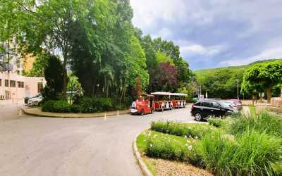 !tr_error=pl->oboz_mlodziezowy_zagraniczny!, BUŁGARIA - Złote Piaski - hotel Helios (14-19 lat)