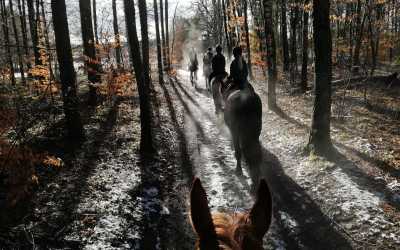 Obóz młodzieżowy, Runowo - Ferie w siodle,  7 dni 9-18 lat